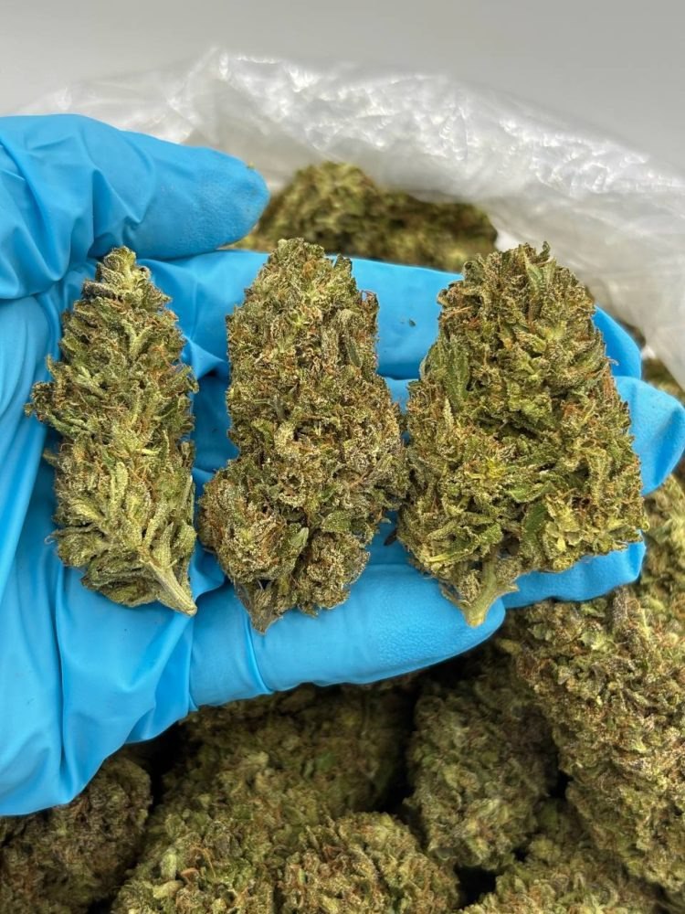 photo_2025-09-22_07-13-56