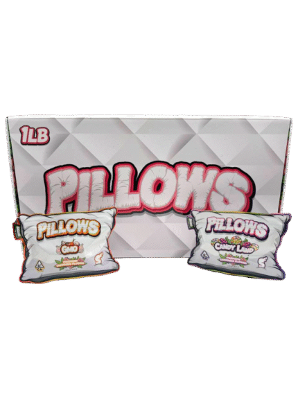 PILLOWS - ROSE EDITION
